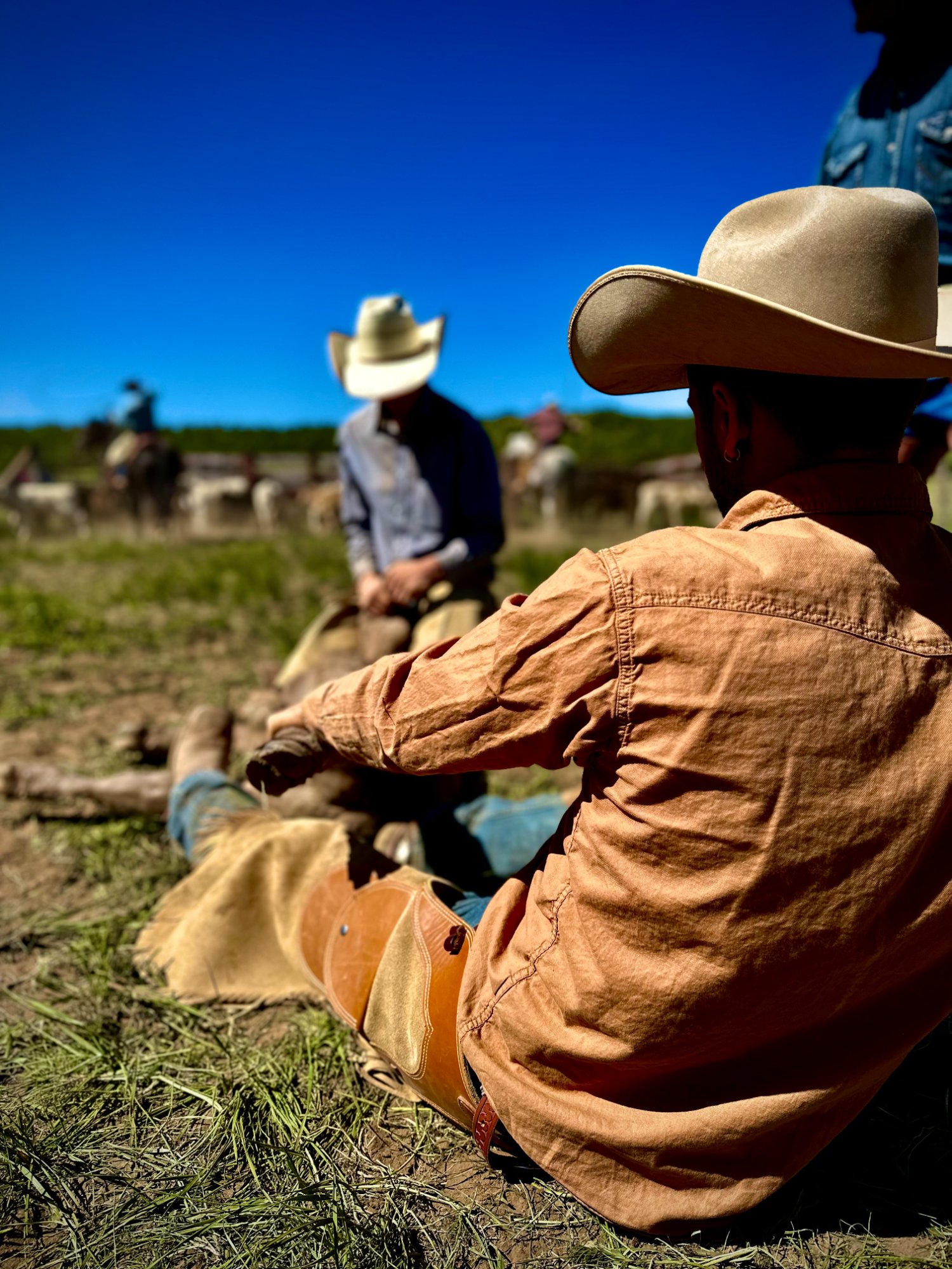 The Story — Life on the Ranch
