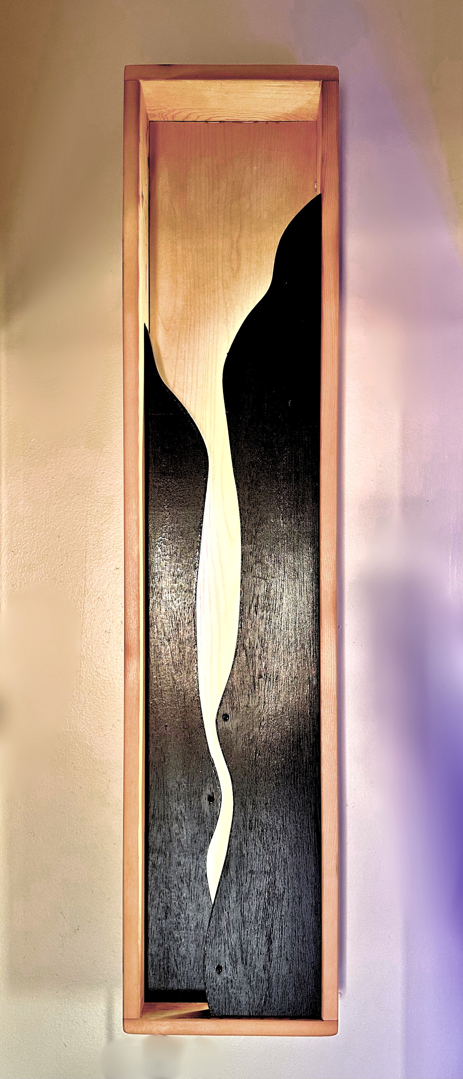 Illuminated Forms V: Vanity's Curves