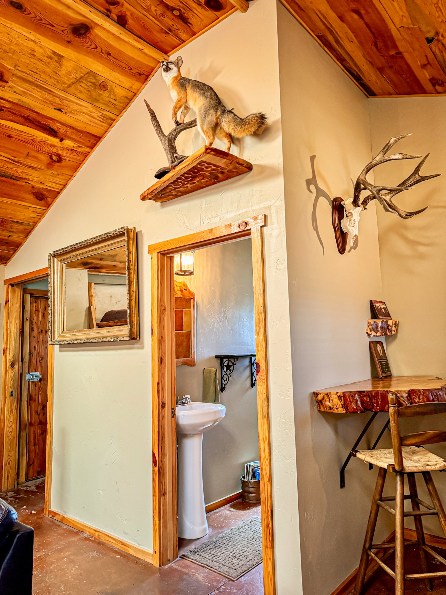 Entry with fox mount, antlers, live edge table, cedar ceiling