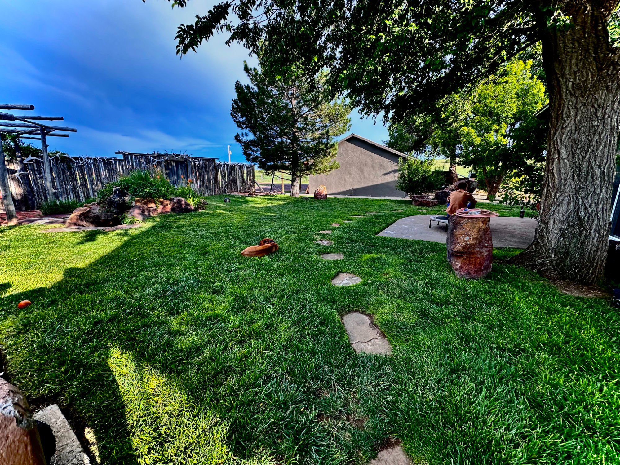 Ranch yard and grounds