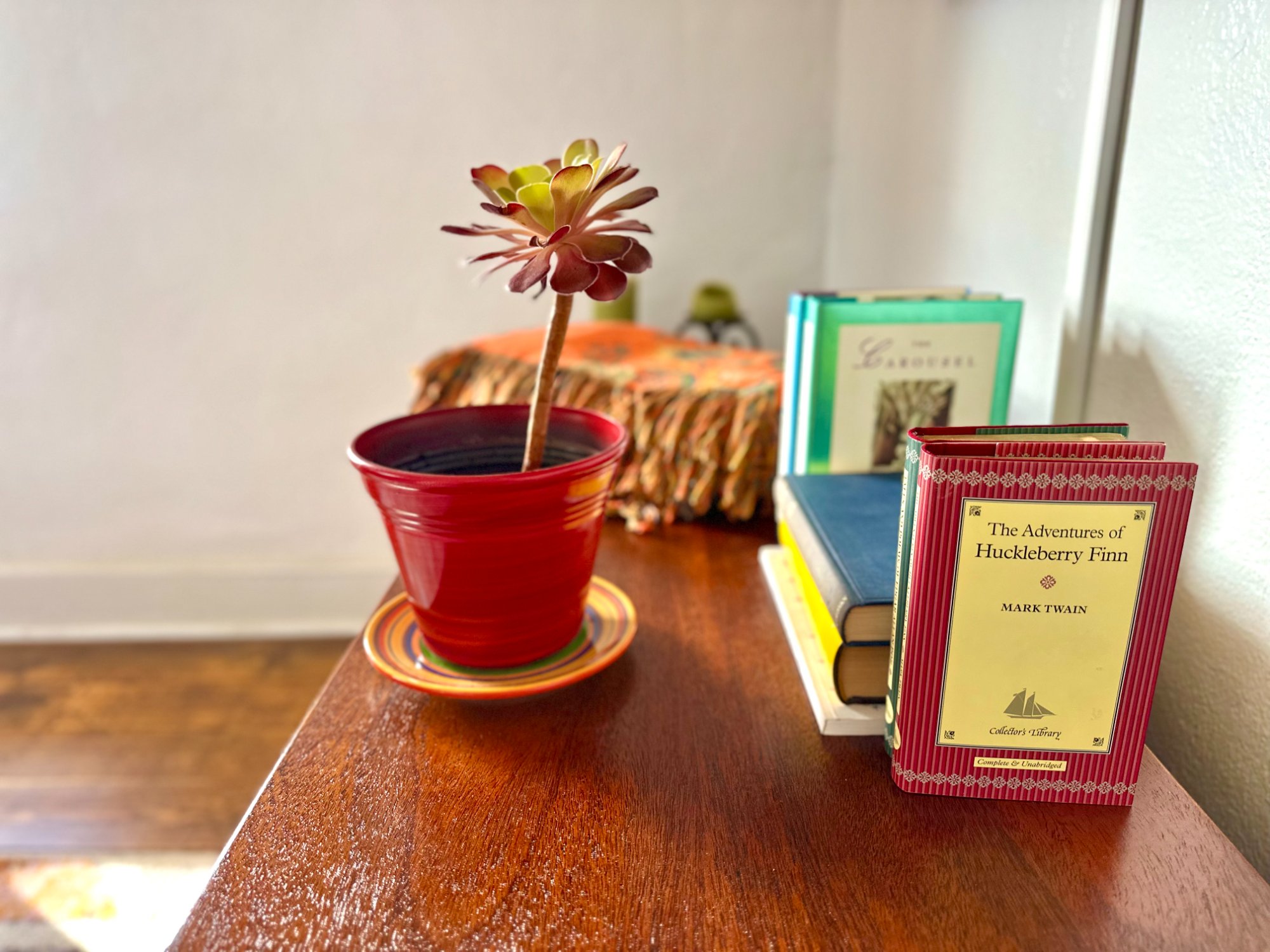 Succulent and books detail on wooden shelf