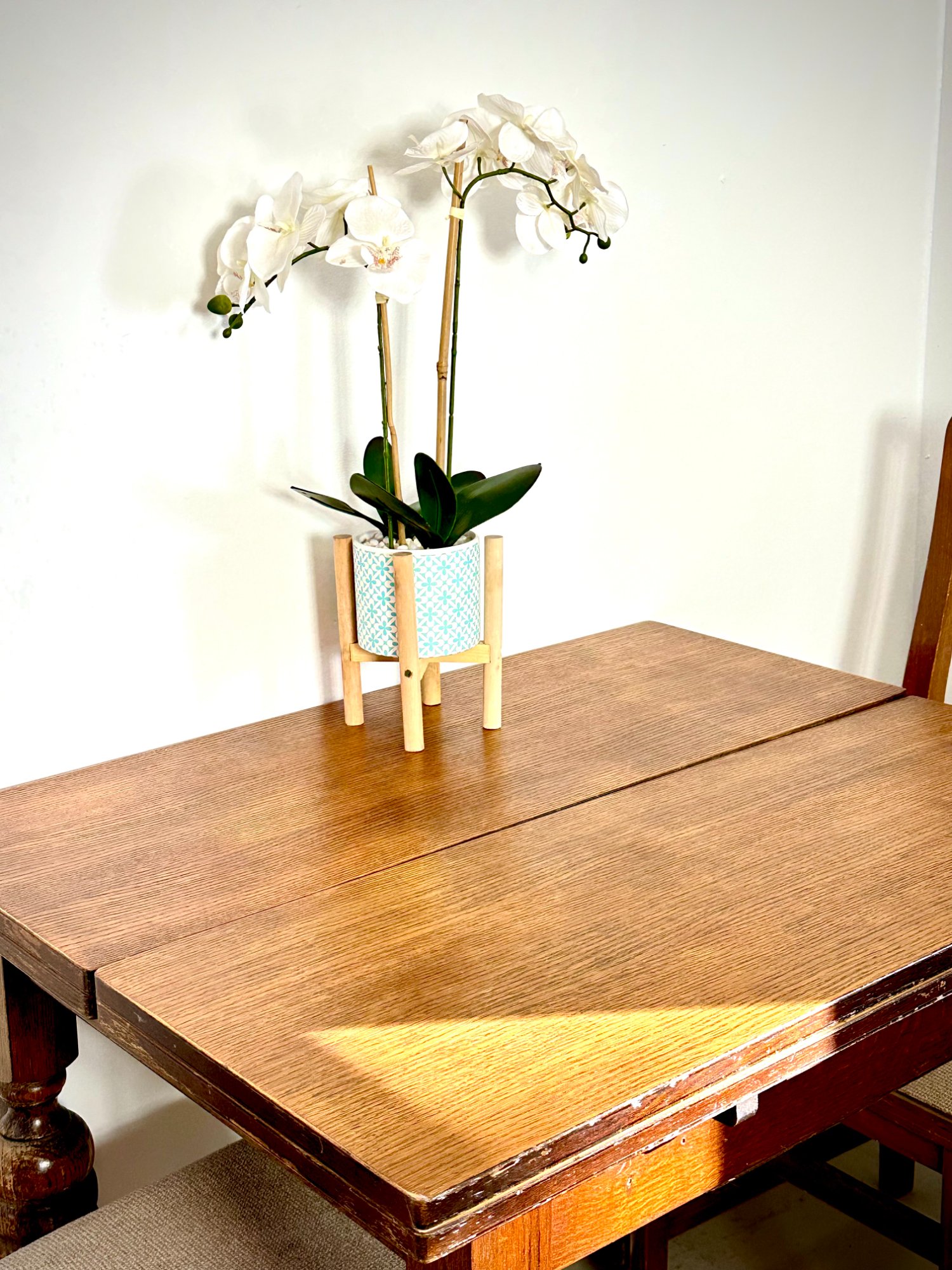 Orchid on dining table, warm morning light